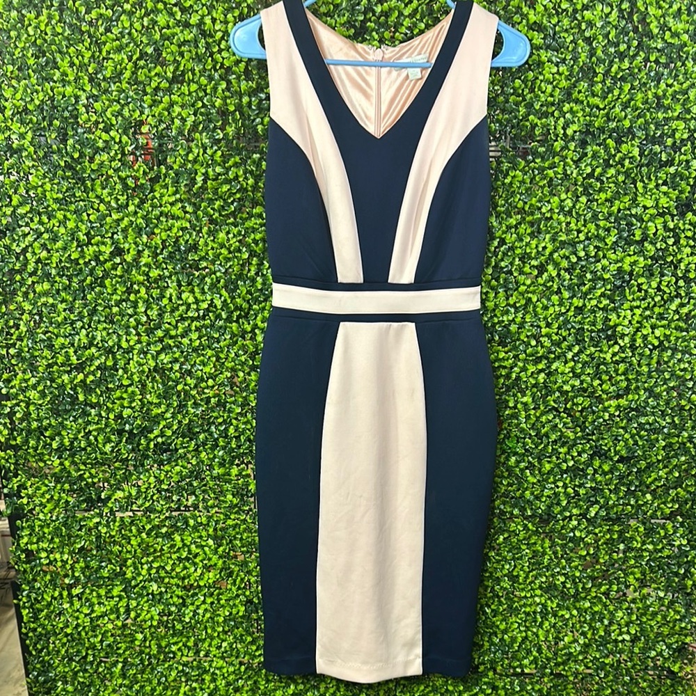New York & Company Navy and Pink Sleeveless Dress